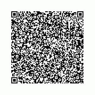 vCard 73533536305