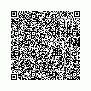 vCard 73533536313