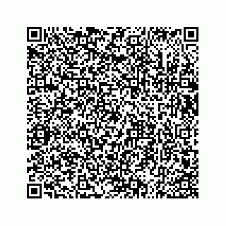 vCard 73533536316