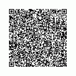 vCard 73533536321