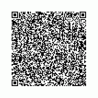 vCard 73533536324
