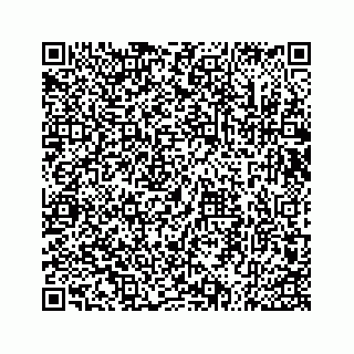 vCard 73533536329