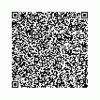 vCard 73533536379
