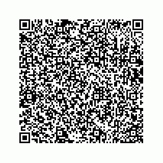 vCard 73533536380