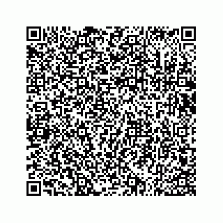 vCard 73533536381