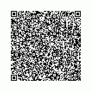 vCard 73533536385