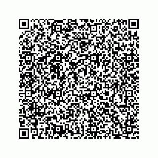 vCard 73533536387