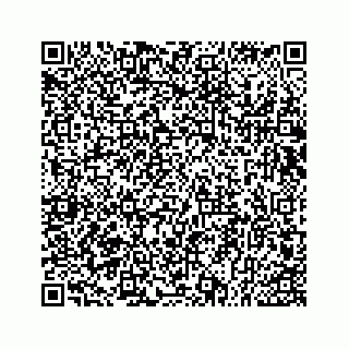 vCard 73533543168