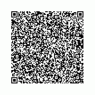 vCard 73533545152