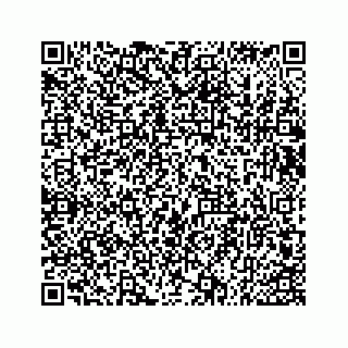 vCard 73533547101