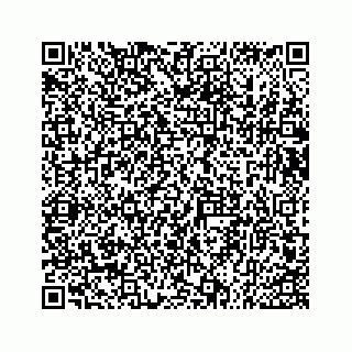 vCard 73533547102