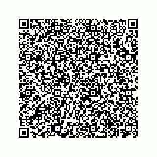 vCard 73533820039