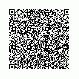 vCard 73533820305