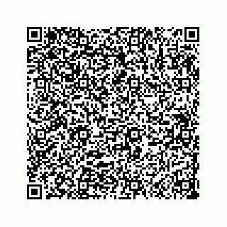 vCard 73533999000