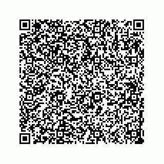 vCard 73533999001