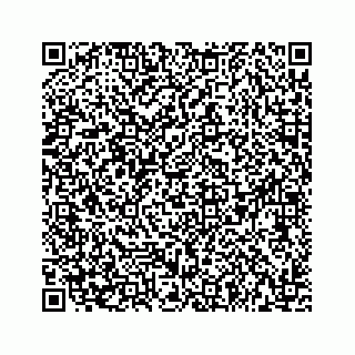 vCard 73533999002