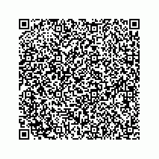 vCard 73533999026