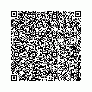 vCard 73533999027