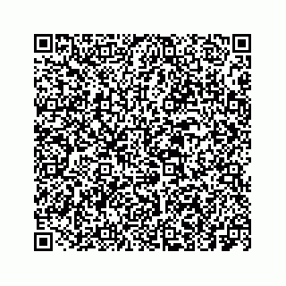 vCard 73533999029