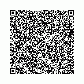 vCard 73533999030