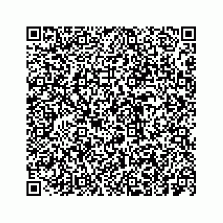 vCard 73533999033