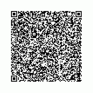 vCard 73533999037