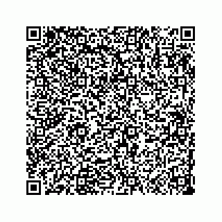 vCard 73533999038