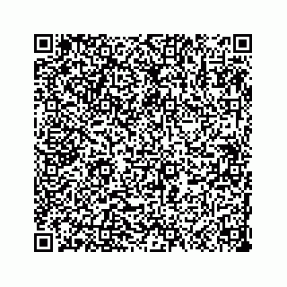 vCard 73533999039