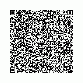 vCard 73533999041