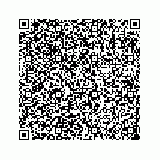 vCard 73533999042