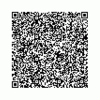 vCard 73533999044