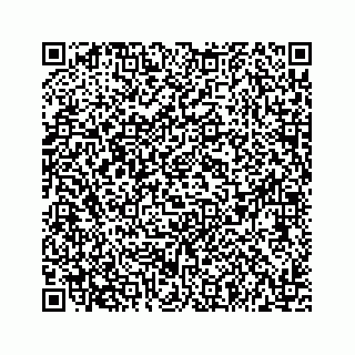 vCard 73533999046