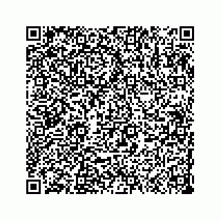 vCard 73533999049