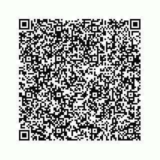 vCard 73533999055