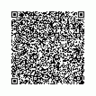 vCard 73533999064