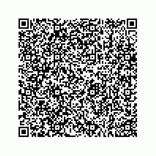 vCard 73533999065