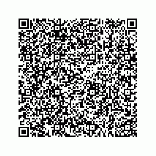 vCard 73533999067