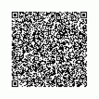 vCard 73533999069