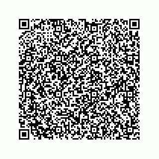 vCard 73533999071