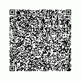 vCard 73533999072