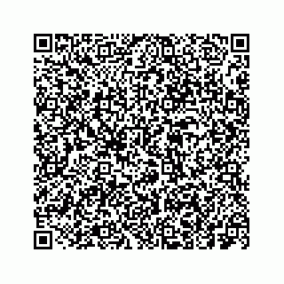 vCard 73533999073