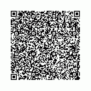vCard 73533999077