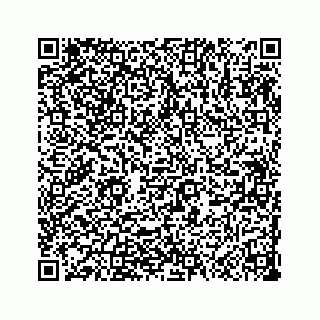 vCard 73533999078
