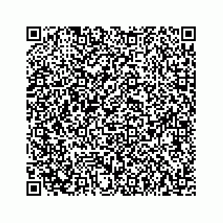 vCard 73533999079