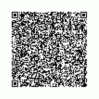 vCard 73533999080