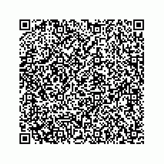 vCard 73533999081