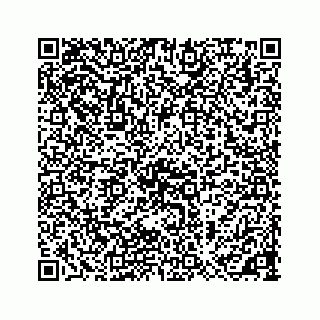 vCard 73533999083