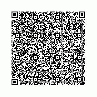vCard 73533999084
