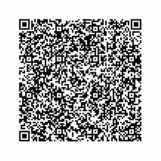 vCard 73533999085