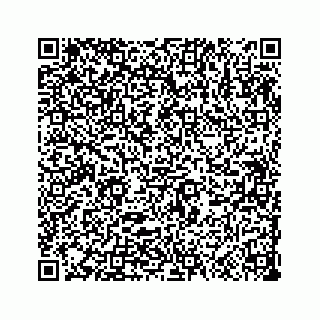 vCard 73533999086